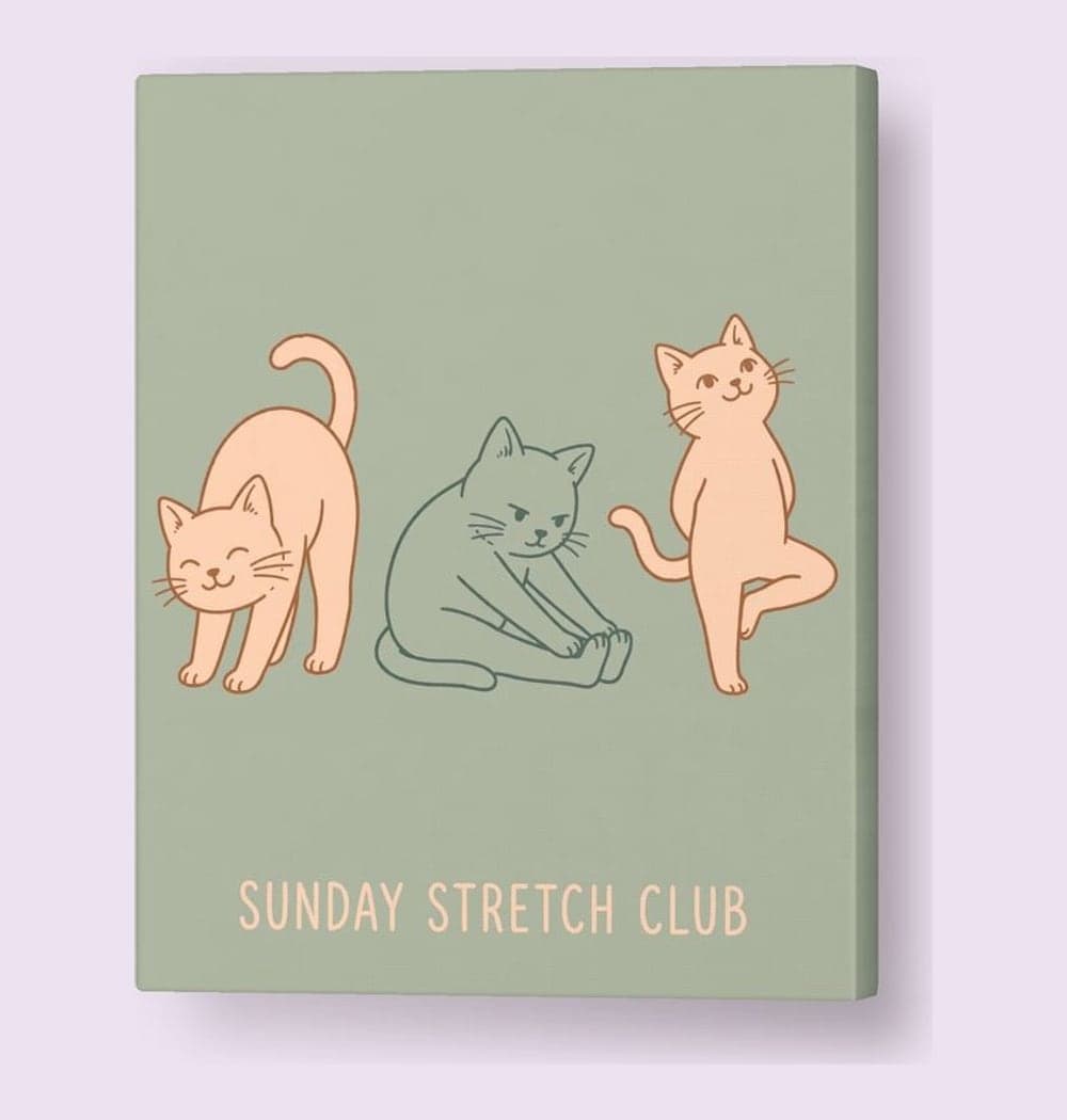 A row of three friendly original cats attempting different yoga stretches, each with a distinct expression, on a canvas (example made with AI)